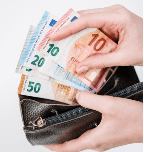 Wallet of Euro's