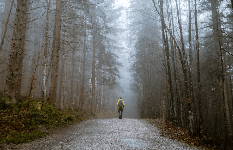Cool climate mountain environment
